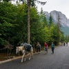 Албанская осень.